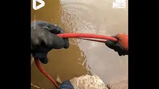 Well that is the catch of a lifetime! 😳