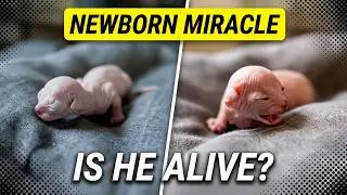 Is This Newborn Kitten Alive?