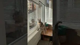 Поехала на экскурсию…..