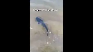 MEMES I FOUND ON DISCORD #1