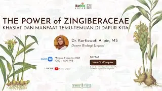 The Power of Zingiberacea: Khasiat dan Manfaat Temu-Temuan di Dapur Kita