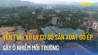 Yên Thế: Xử lý cơ sở sản xuất gỗ ép gây ô nhiễm môi trường
