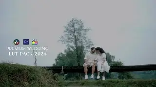 Best Wedding LUTs 2024 | Premium Edition | Davinci resolve | Final Cut Pro | Premiere Pro | L2P_2024