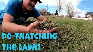 How to De-Thatch the Lawn. Power Raking