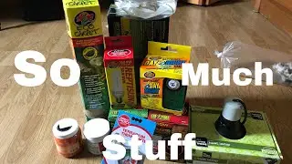 Getting a new bearded dragon!!! +(big haul)