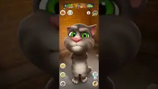 Talking Tom Cat #shorts