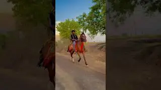 Horse power 💪 
