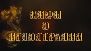 Мифы о Иглотерапии Чжень Цзю - методики Традиционной Китайской Медицины Загальский Павел