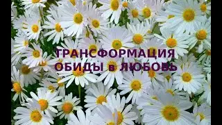 Трансформация обиды в любовь