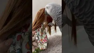 Luiza Rasulova попугай