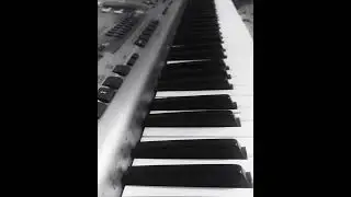 new cover