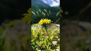 #рекомендации #мысли #цитата #цитаты #саморазвитие #motivation #книги #mountains