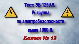 БИЛЕТЫ по Электробезопасности IV группа выше 1000 В. Билет 12