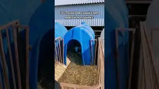 Линия экструдирования корма для КРС