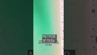 Пляж с акулами