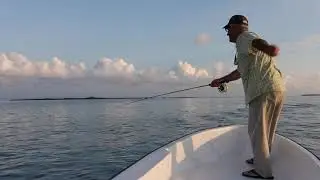Taking Shots at Permit — You Win Some, You Lose Some