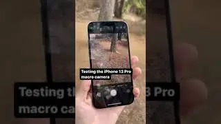 iPhone 13 Pro Macro Photography. 