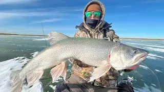 Ice Fishing for Lake Trout in Montana + Age Reveal!