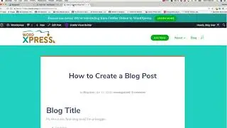 How to Create a Blog Post in Wordpress