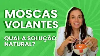 Moscas Volantes qual a solução natural?