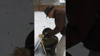Making Ashes from Palms. 2021.