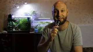 Куб, петушки, нерест и извиняшки.