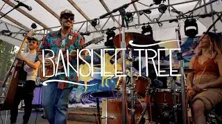 Banshee Tree  -  Bright Blue Light