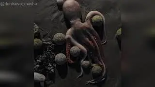 Экологическая катастрофа на Камчатке