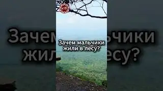 Зачем мальчики жили в лесу?