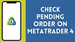 How to Check Pending Order on MetaTrader 4 (2024) | Verify Pending Order on MetaTrader 4