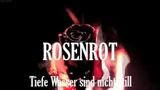 Rosenrot - Rammstein [HeavyZottel Guitar & Bass Cover] (Full instrumental)