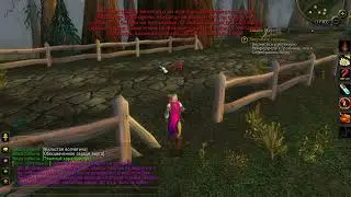 World of Warcraft  ( Wild Hearts. Звериные сердца)