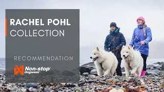Introducing the Rachel Pohl collection: Art-inspired gear for adventurous dogs | Non-stop dogwear