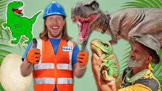 🦕Dinosaur Adventure with Handyman Hal 🦖 T-Rex, Triceratops, and Dinosaur Egg Hatching
