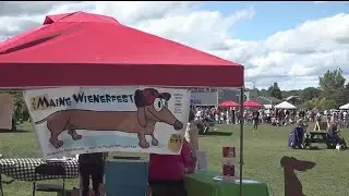 Hundreds attend 20th Annual Maine Wienerfest