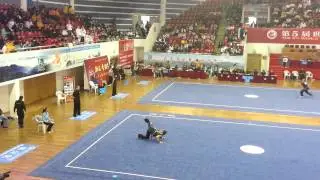 Tiunov Dmitry- Houquan - the 5th WTWC 2012