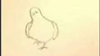 pigeon pencil test