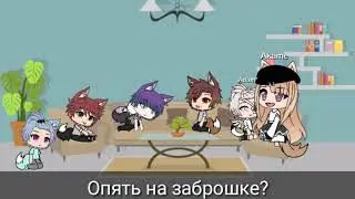 Раздача щенят :3