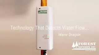 Water Dragon Protect Your Home From Water Damage (Summer 2023)
