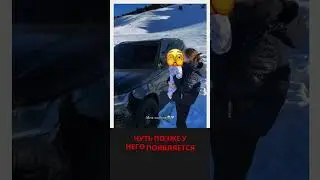 СЛУЧАЙНОСТЬ ИЛИ КОРРУПЦИЯ?