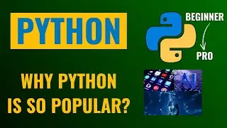 Why Python is the #1 Programming Language: What Is Python & What You Can do with Python!