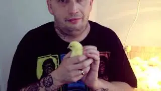 DJ Tego Typu - HARDKOR SIE NIE NUDZI (feat. Peja)