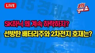 [11월1일 #815경제쇼] SK하이닉스가 하락하는 진짜 이유 / 선방한 배터리주와 2차전지,왜? | 이영훈, 김동엽