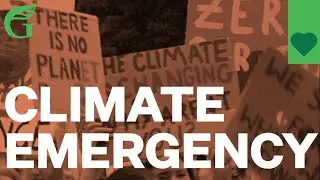 Climate Hope | Green Party NZ