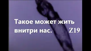 Маски сброшены 3.  Интервью людей и Ивана Боброва (Ivans Bobrovs) (Полная версия)