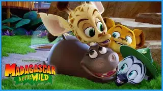 Be the Best You! | DreamWorks Madagascar