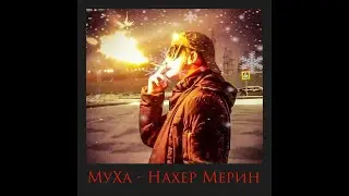 Нахер мерин (ПАРОДИЯ) на моргенштерна (Новый мерин)