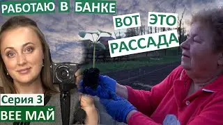 Серия 3 / Я руковожу Банком! / пьянствую с мамой /  уехала сама в село / как мы садим огурцы /