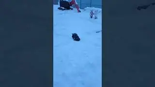 Гараж в снегу