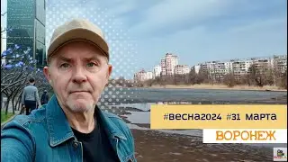 31 марта 2024г  Воронеж